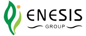 Enesis Group Enesis Group